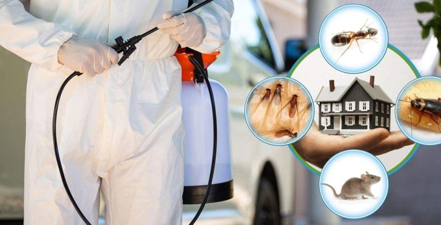 Saray Böcek İlaçlama